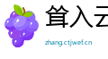 耸入云霄网